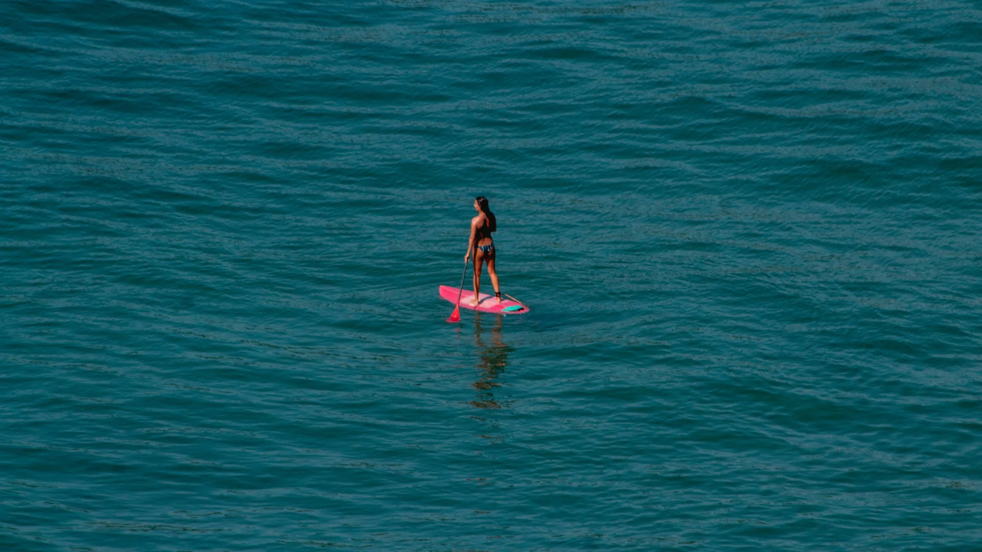 Donna che fa paddle surf su una tavola rosa in acqua aperta