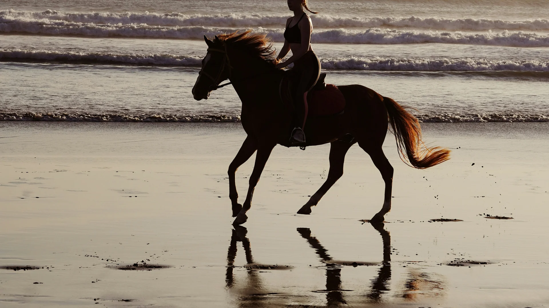 Persona a cavallo al galoppo su una spiaggia al tramonto